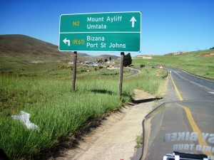 The pause before the dog...