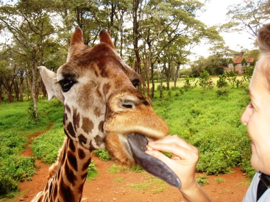 This guy gives good tongue...