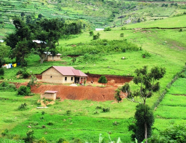 Every shade of green...