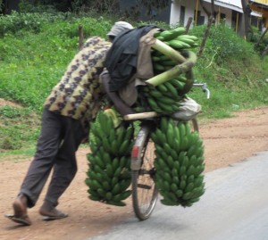 Excuse me... Have you heard of Ohlins...