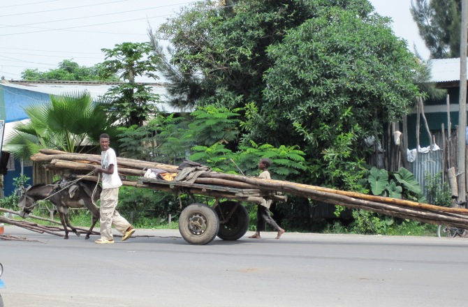 The donkey pulling this cart is so obviously struggling, yet it's owner continues to put whip to hide..