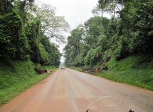 The road passed through some indigenous forests. None of the Mohangany trees were anywhere near as big as those in Ghana...