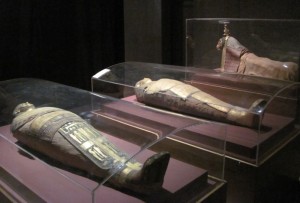14. Mummies found here in Aswan lie on display...