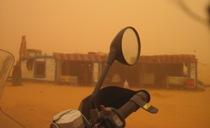 The intelligent sought shelter wherever they could find it...