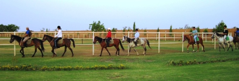The riders set out from the stables on their 50 km endurance ride...