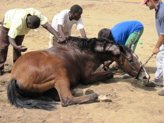 Titus goes down, and later died here, amongst the litter on the edge of Khartoum...