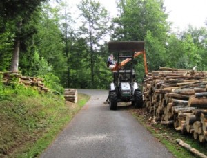 A small logging operation brought me to a standstill...