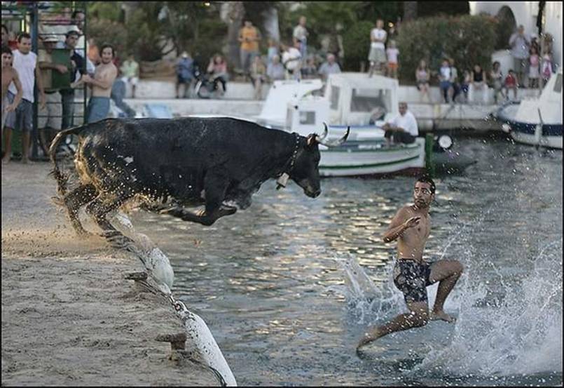 At the running of the bulls this year, Miguel became only the third person after John the Baptist and Jesus, to accomplish "walking on water"...