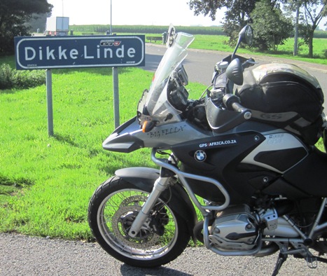 7. Big Fella sits in the early morning sunlight at Dikke Linde...