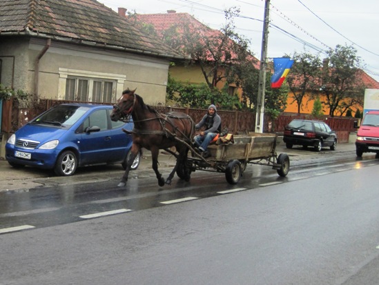 15. Carts became a common sight... I passed one that had nobody at the reins...!! Either the horse knew exactly where to go, or there was a Romanian lying in a ditch somewhere...!!