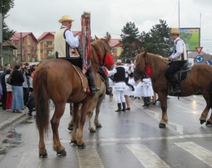 16. These massive horses led the parade...