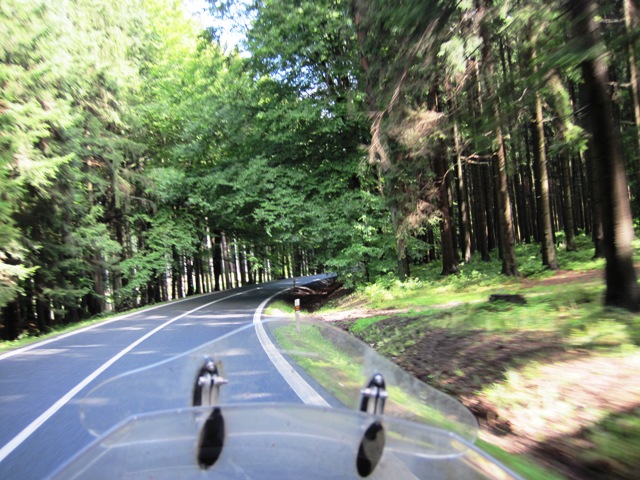 3. Once out in the country, we barrelled down great roads like this one, twisting through forests...