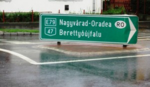 6. Run out of longer poles, boys...