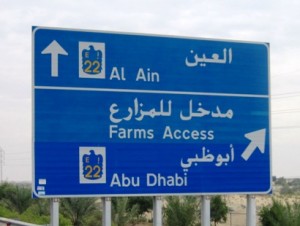 4. Date and fodder farms line the highway to Al Ain on the Omani Border...