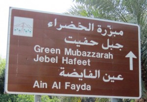 7. We were sidetracked by an exciting description of the road to Jebel Hareet...