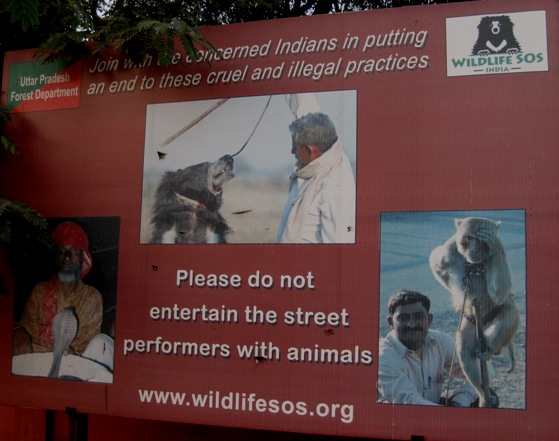 13. I wouldn't entertain the buggers with anything...!! Except maybe a kick up the backside...!!