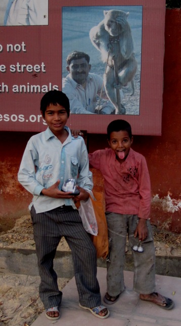 14. Spot the monkey...!!