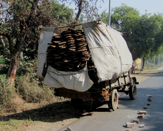5. Cow Chip Cookies anyone...