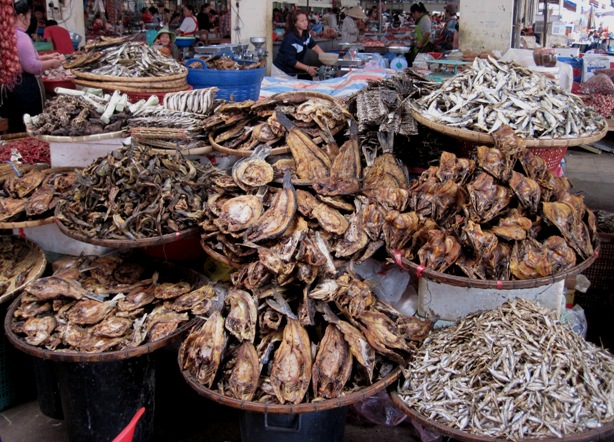11. Many species of dried fish on display...
