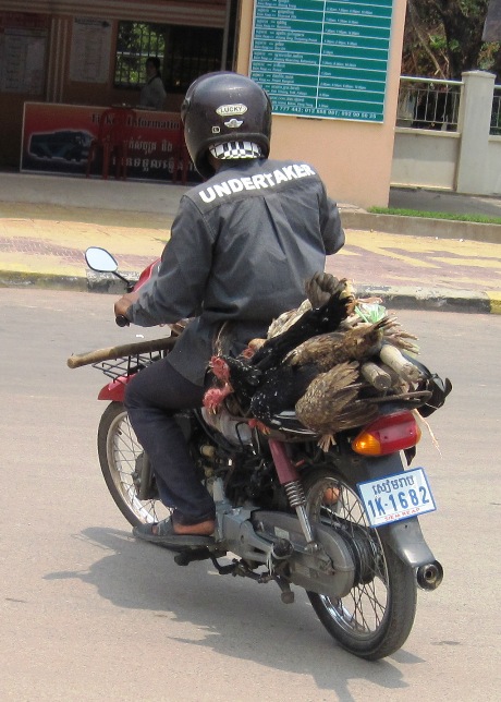 1. The local mortician dabbles in the poultry market as well...