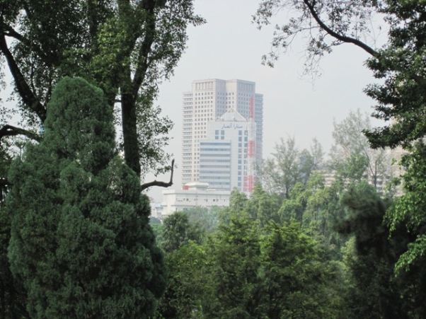 6. From among the tall trees, the steel and concrete of Johor Bahru can be seen...