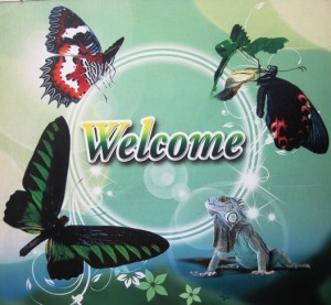 9. Apparently not included in the price of the tour... We decided to put up with this little con...