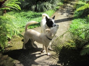 21. Sadie's friends visited on a regular basis...