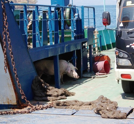 4. I wondered how much he paid for his trip to Kupang...