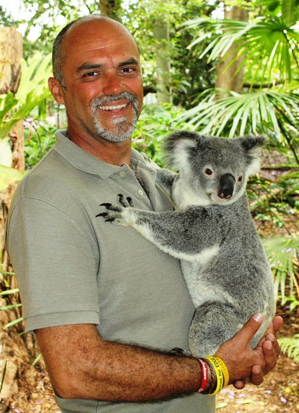 3. Koala in Brisbane.....