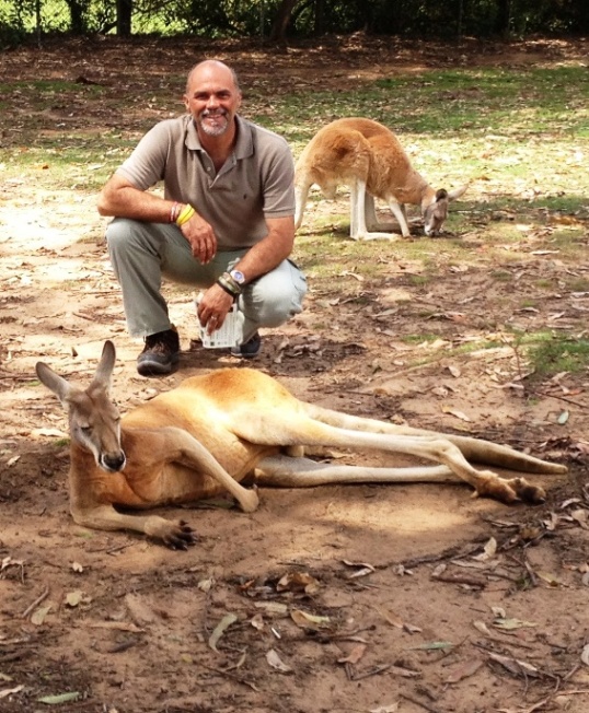 5. This Red Kangaroo did not bother to get up...!