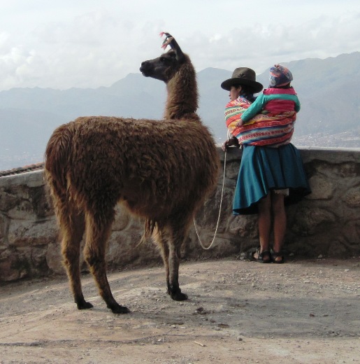 11. Taking your pet for a walk in Cuzco is not the same as taking Fido to the park back home...!!
