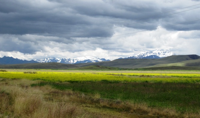 7. Back out on the Altiplano... Fields of Canola, snow-capped mountains in the background and a very threatening sky above...!!