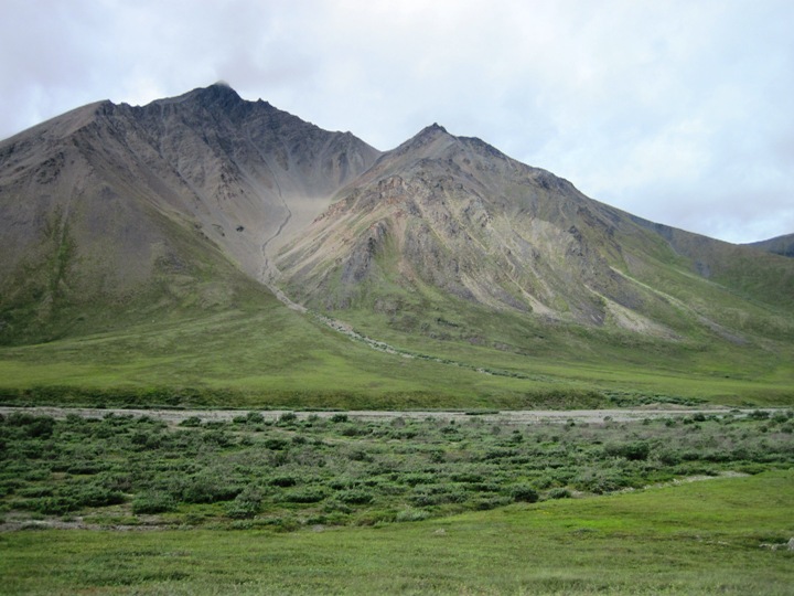 6. The Alaskan Tundra.... Stark, beautiful and magical...!!