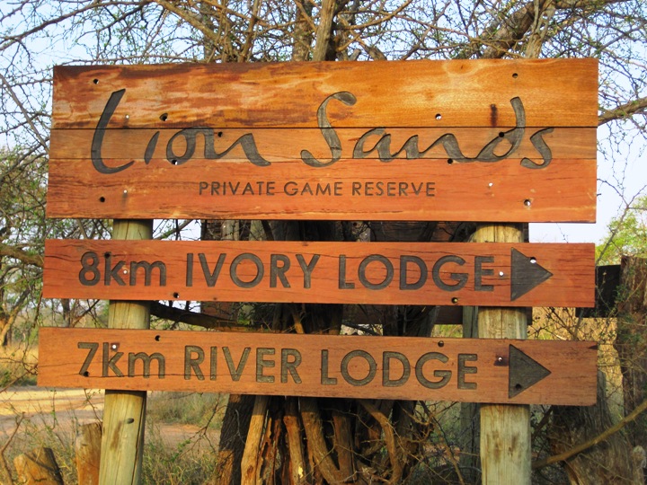 4. As we turned on to the dirt road leading to Lion Sands, I was almost overcome with emotion.... This was the moment I truly felt that I had arrived home....