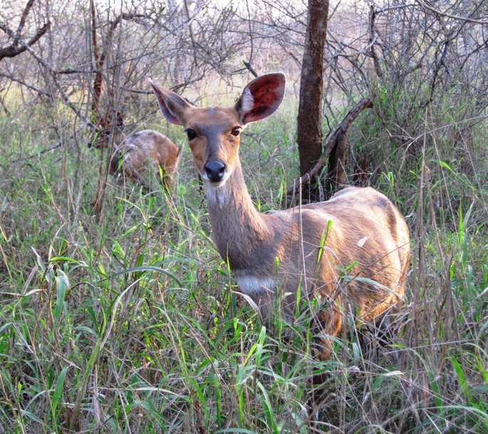 5. "Welcome back Mr. B....!! Where have you been...??"