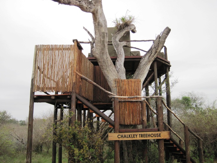 13. Had we had more time available, a night in the Chalkley Tree House would have been amazing...!!