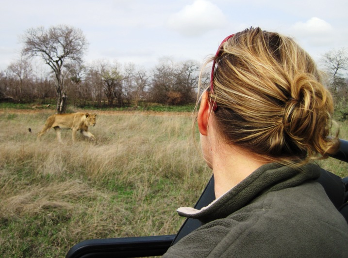 16. The small pride was keen to get back into the shade and led us into a thicker part of the bush, where we eventually left them in peace...