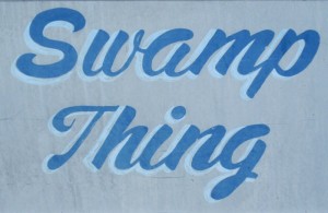 ur pontoon boat that would take us out into the waterways...