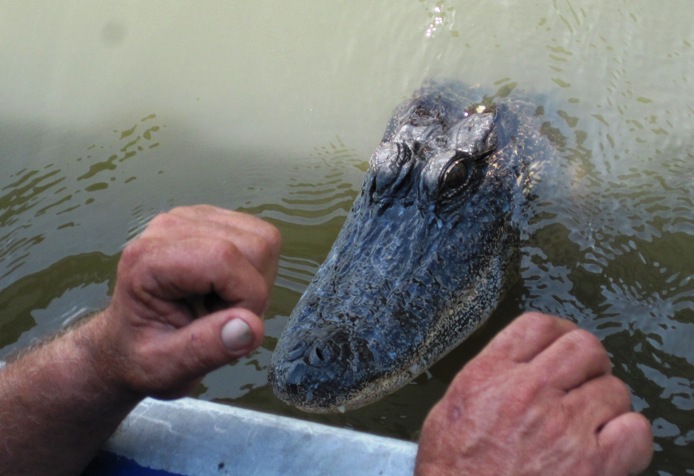 Mmmm...should I take the left hand or the right hand....