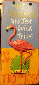 A new take on menopause...