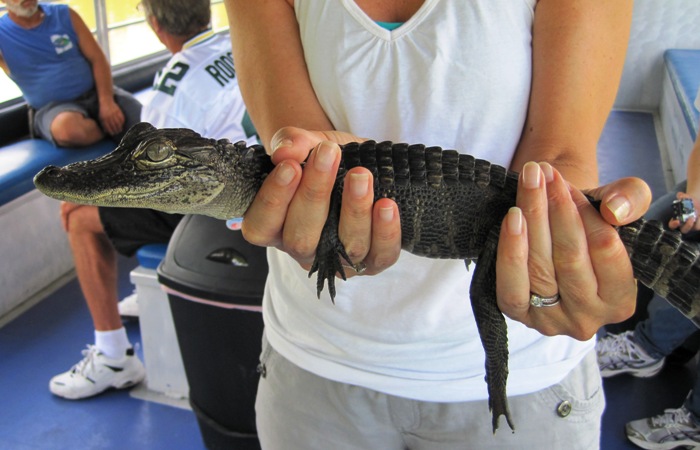 I could be your purse...