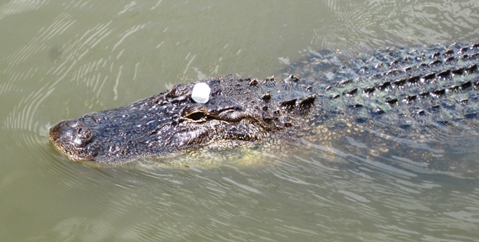 "Here children, come and get a sweet from Uncle Albert..."