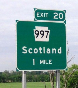 "OMG... Gi-Gi, what have you done !!" 