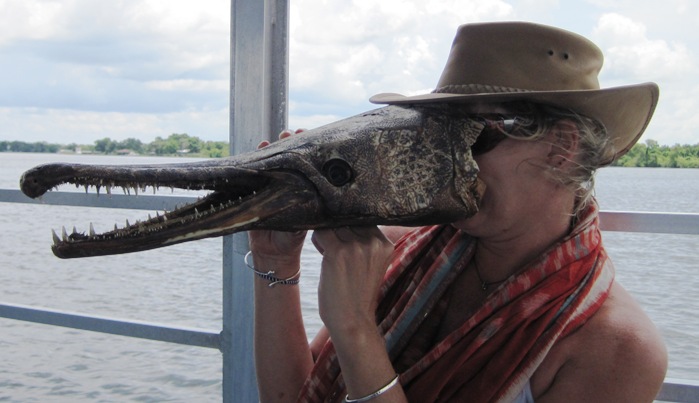"Why the long face, Darling...??" Patricia with the head of an Alligator Gar.