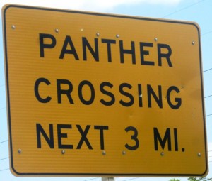 "Now hold on a cotton-picking minute there...!!", shouted the Big Fella, getting into his southern-talk... "Ain't nobody said nuthing about no Panthers...!! We need to git ourselves into Missy's car, real quick like !!"