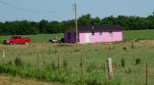 Little Pink houses for you and me...