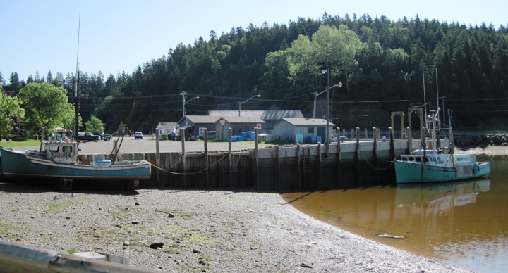 High and dry in St. Martins on the Bay of Fundy.