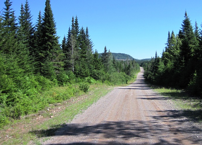This was not part of the plan !! Spent the next two hours on dirt roads, dodging logging trucks...