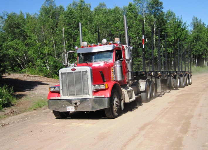 Like this one, whose driver stopped to ask if I was lost...