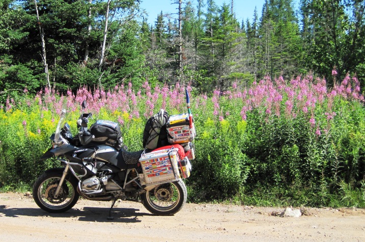 The scene of the bloodthirsty attack by Canada's voracious mosquitoes...